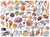 The Beachcomber's Companion 1000 Piece Puzzle
