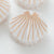 Opal Pearl Seashell Claw Clip - Medium