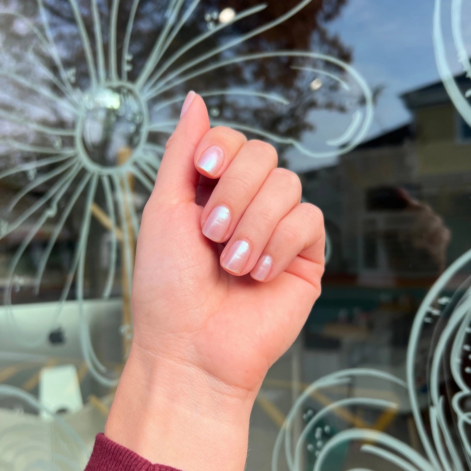 Cape Cod Nail Co. - She Sells Sea Shells Nail Polish