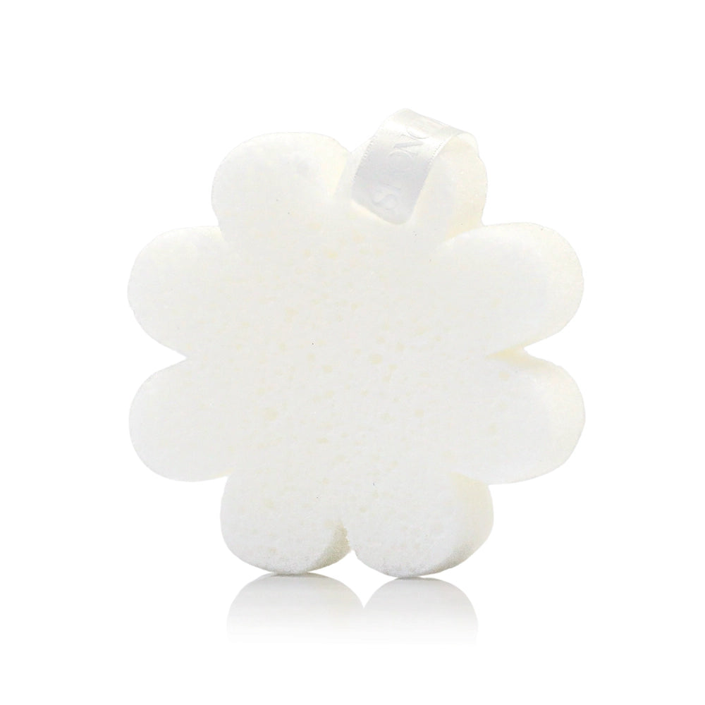 Spongellé - Coconut Verbena Boxed Flower