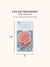 Studio Oh - Pink Seashell Car Air Freshener