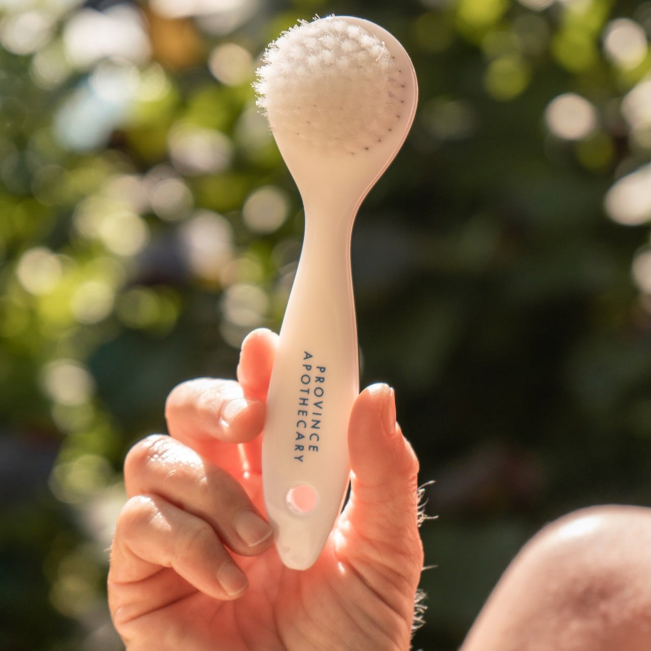 Province Apothecary - Ultra Soft Facial Dry Brush