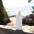 Apothia - California | Exotic White Flowers X Vibrant Green Leaves | Lotion