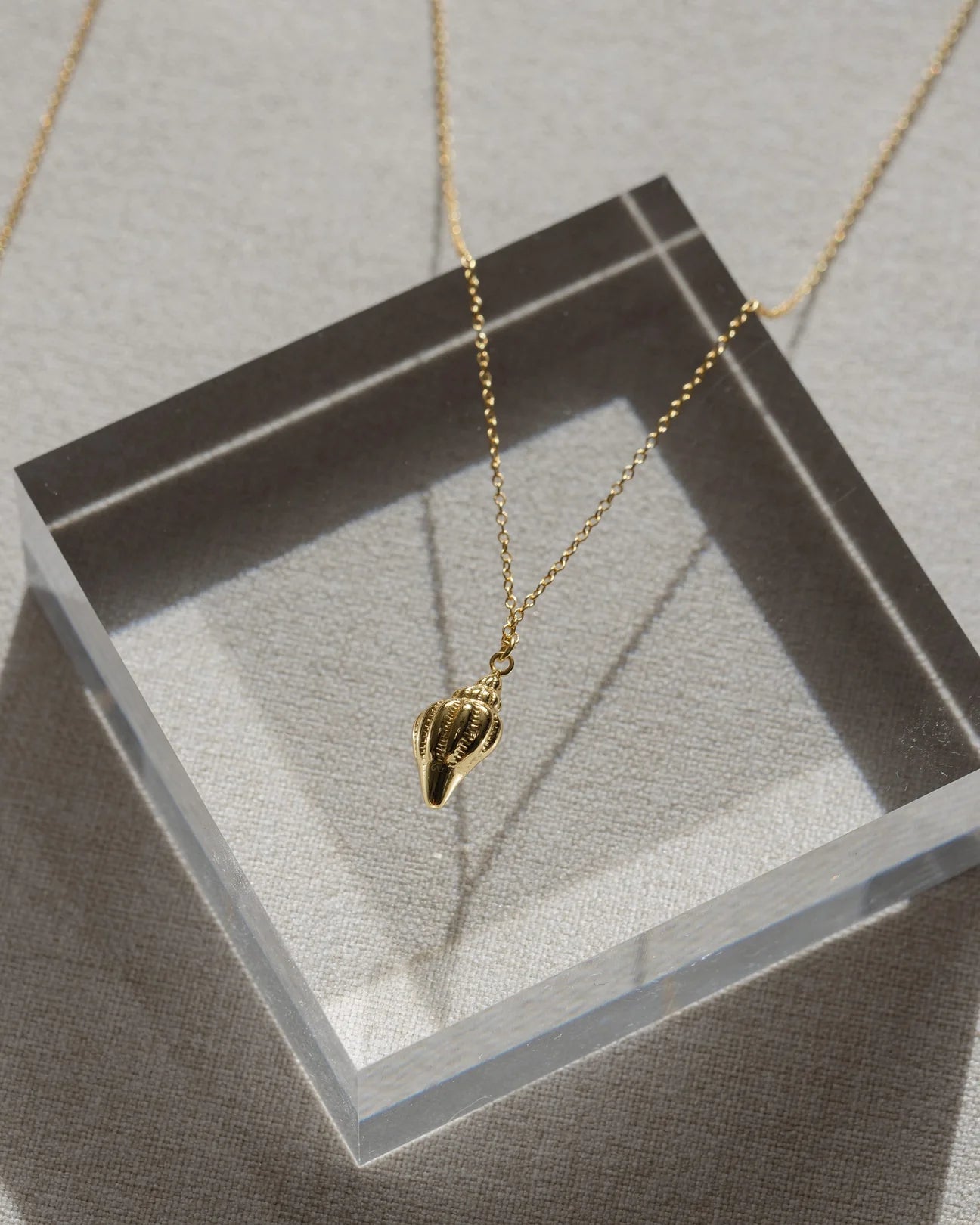 Coast + Cove - Gold Conch Shell Necklace (Add-On)