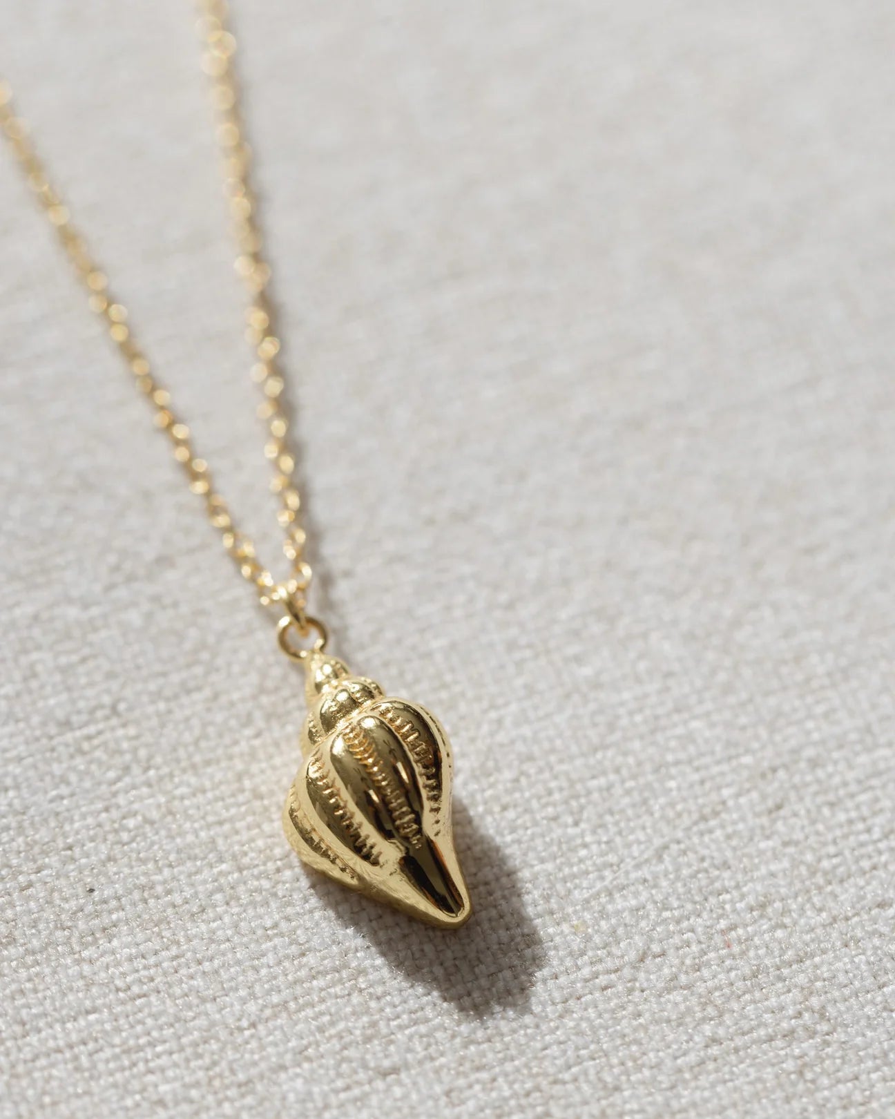 Coast + Cove - Gold Conch Shell Necklace (Add-On)