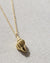Coast + Cove - Gold Conch Shell Necklace (Add-On)