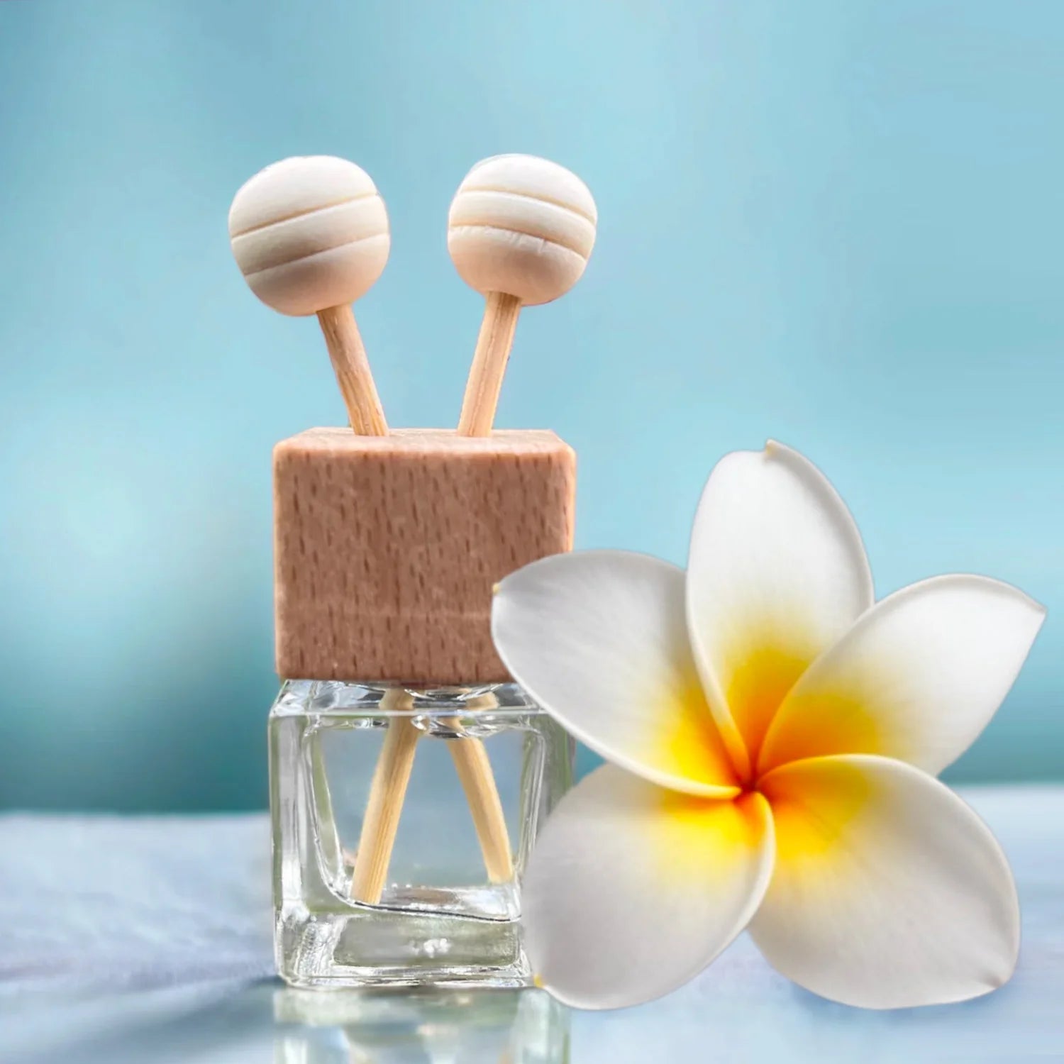 Sunshine + Saltwater - Beach House | Car Diffuser