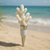 Beachly - Coastal Cheers Wine Stopper