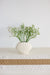 Beachly - The Seashell Serenity Vase - Cream