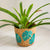 Beachly - Monstera Planter Basket - Seagrass (Add-On)