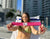 Lay & Stay - Stay Lounge Chair Band – Fuchsia (Add-On)