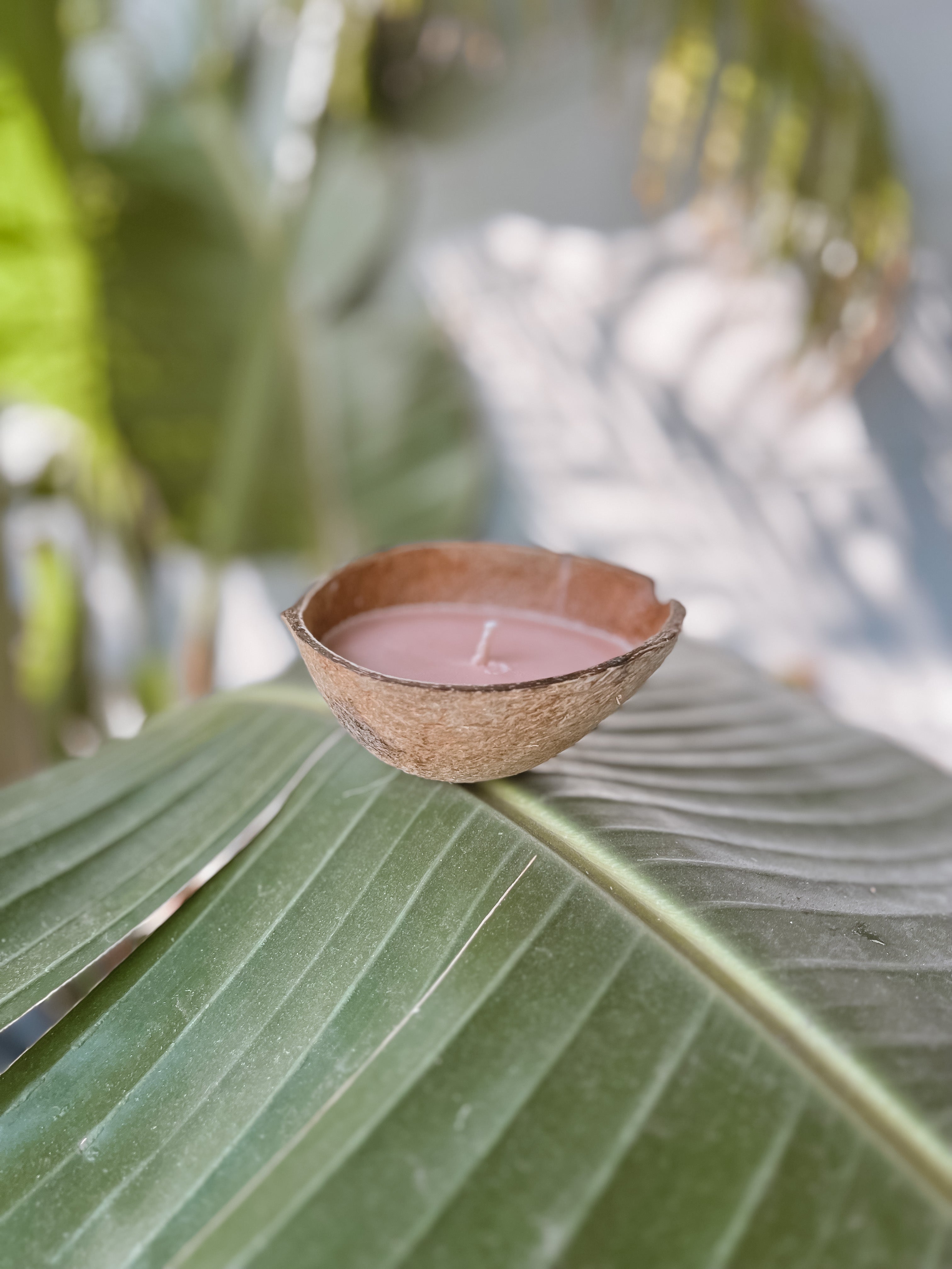Backyard Candles - Coconut Beach Coconut Candle (N)