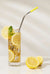 Beachly - Reusable Metal Straw 20 Pc Set (Add-On)