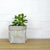 Noho Home - Loulu Fabric Planter - Large - Beige & Ivory