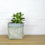 Noho Home - Loulu Fabric Planter - Large - Celery & Light Blue (Add-On)