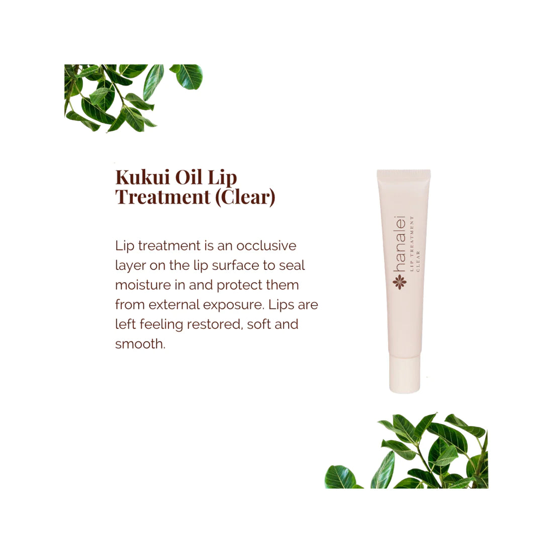 Hanalei - Kukui Oil Lip Treatment - Clear