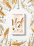 Lanolips - Lip Rituals Scrub & Balm Coconutter
