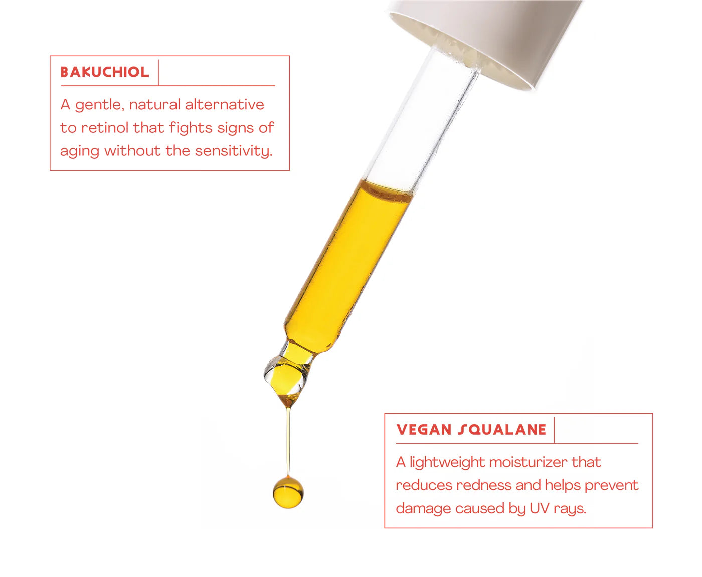Bodysurf - Marine Layer Facial Oil with Bakuchiol Oil & Squalane (Add-On)