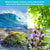 Downeast Candle Co. - Ocean Mist 12oz Candle (Add-On)