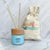 Sunshine + Saltwater - Coastal Christmas | Reed Diffuser