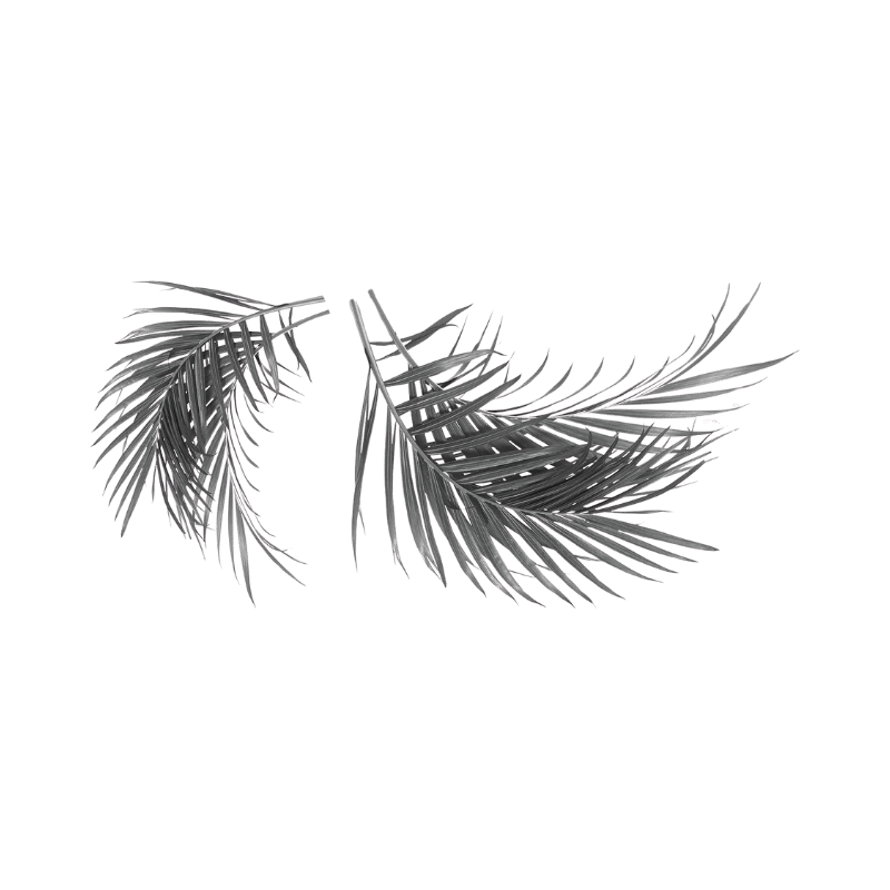 Roommates - 2 Piece Palm Leaf Wall Decal Set (Add-On)
