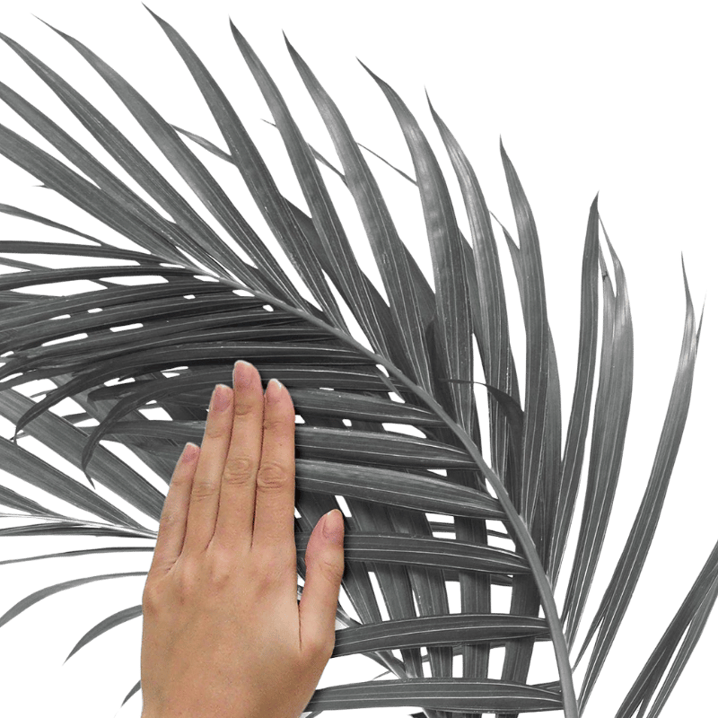 Roommates - 2 Piece Palm Leaf Wall Decal Set (Add-On)