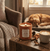 Pup-kin Spice Latte Candle 8 oz