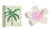 Frasier Sterling - 2 Pack Tropical Hair Clips