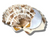 Seashell Compact Mirror