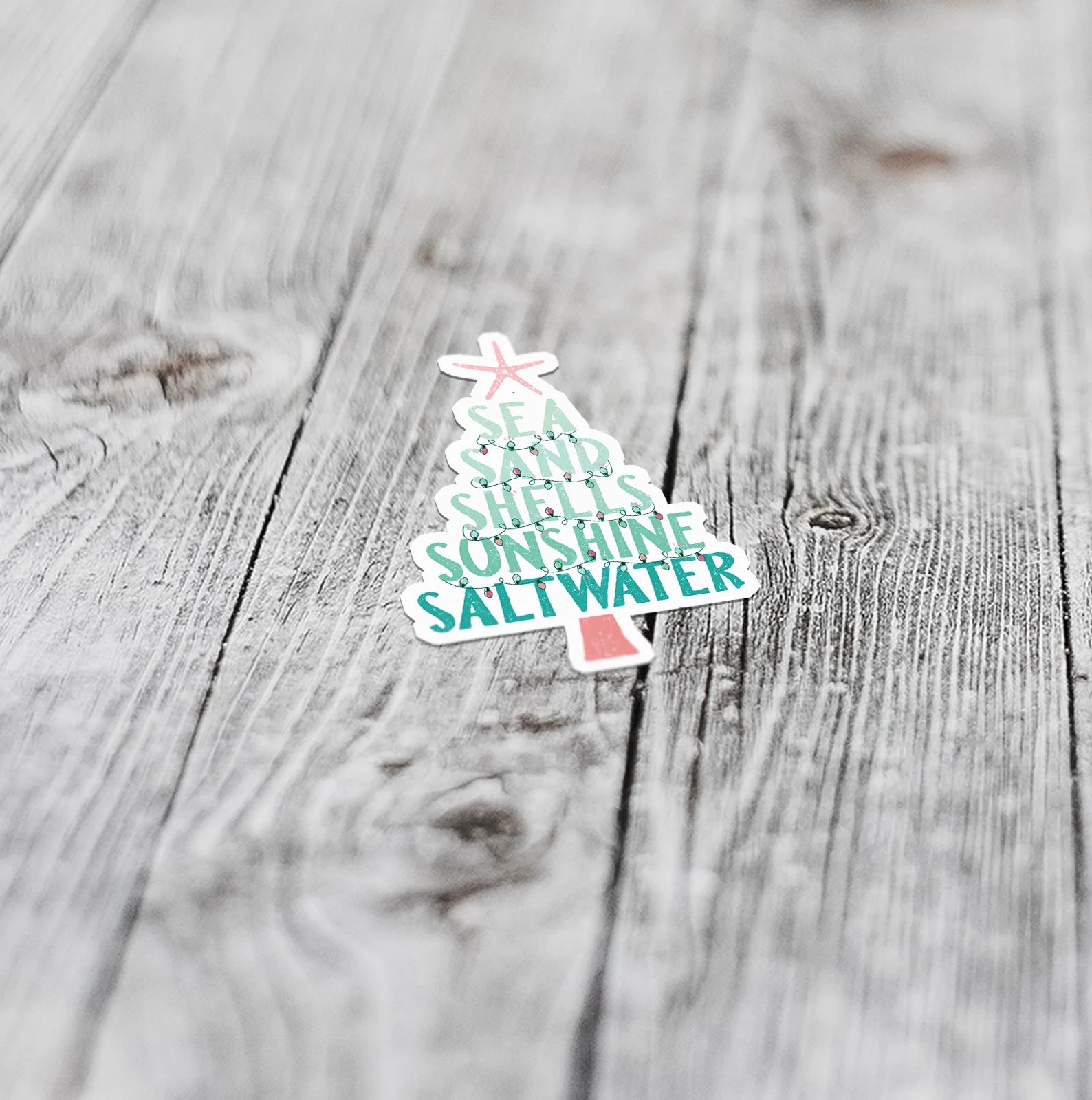 Sunshine + Saltwater - Beachy Christmas Greeting Card (Add-On)