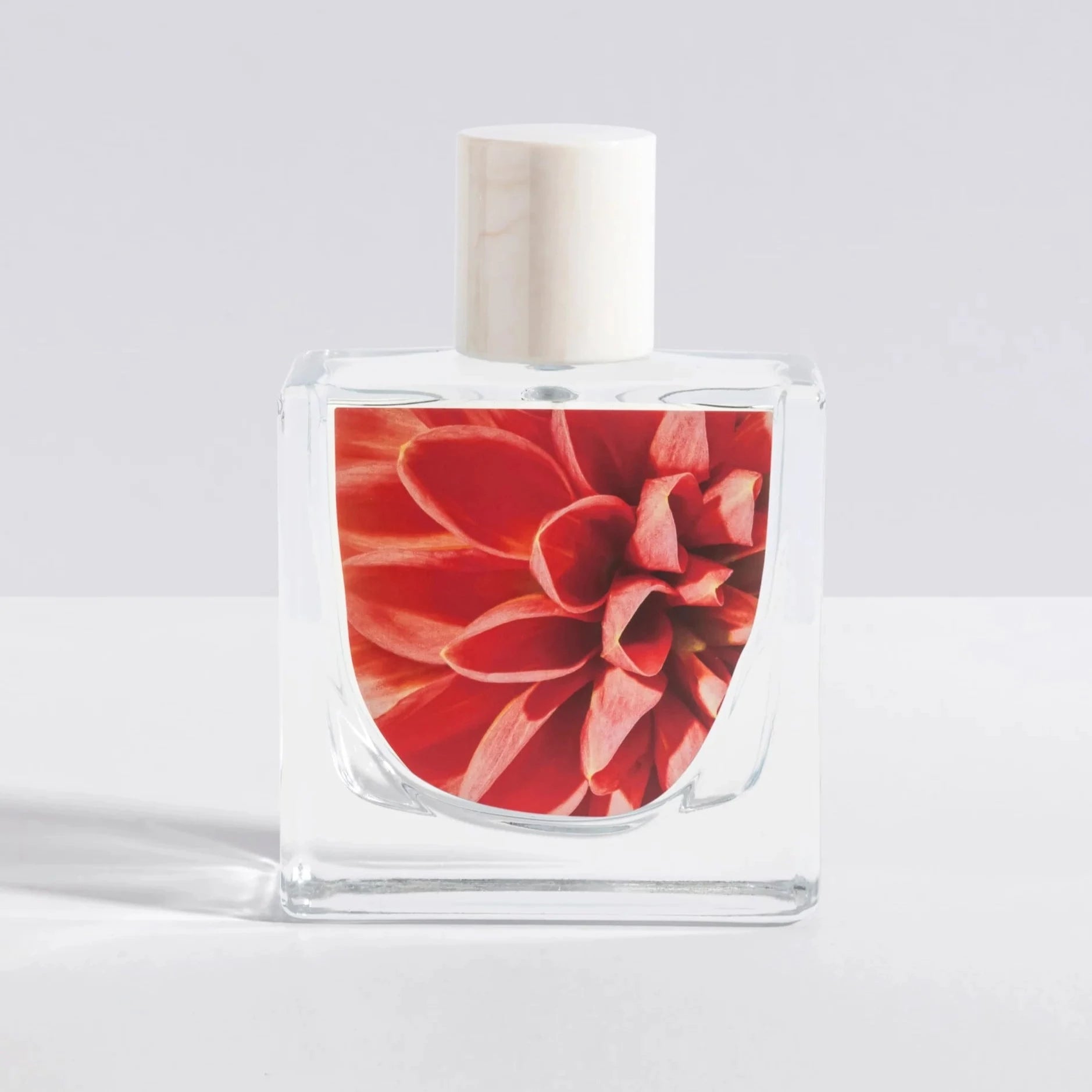 Skylar - Sunkissed Dahlia - 1.7 FL OZ (Add-On)