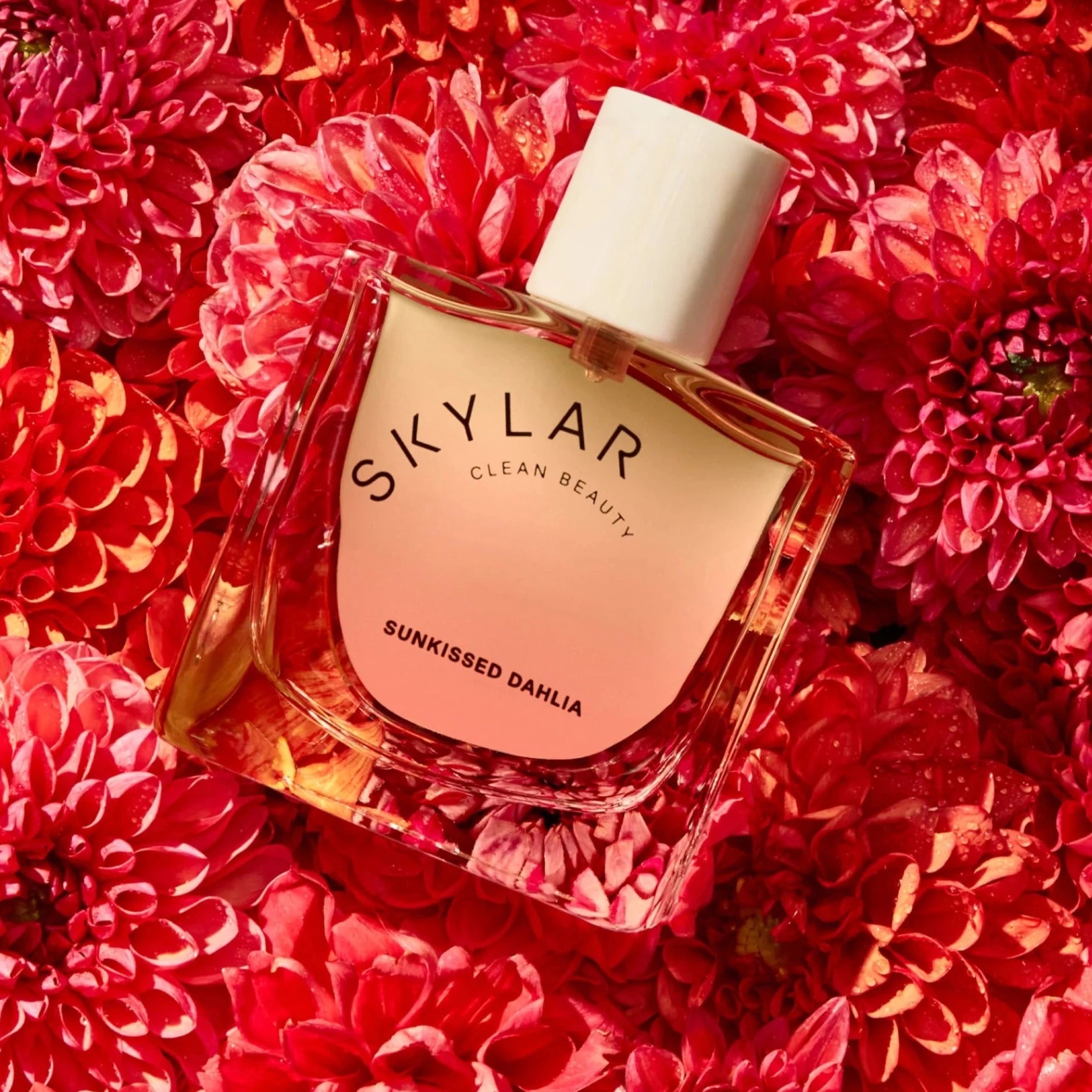 Skylar - Sunkissed Dahlia - 1.7 FL OZ (Add-On)