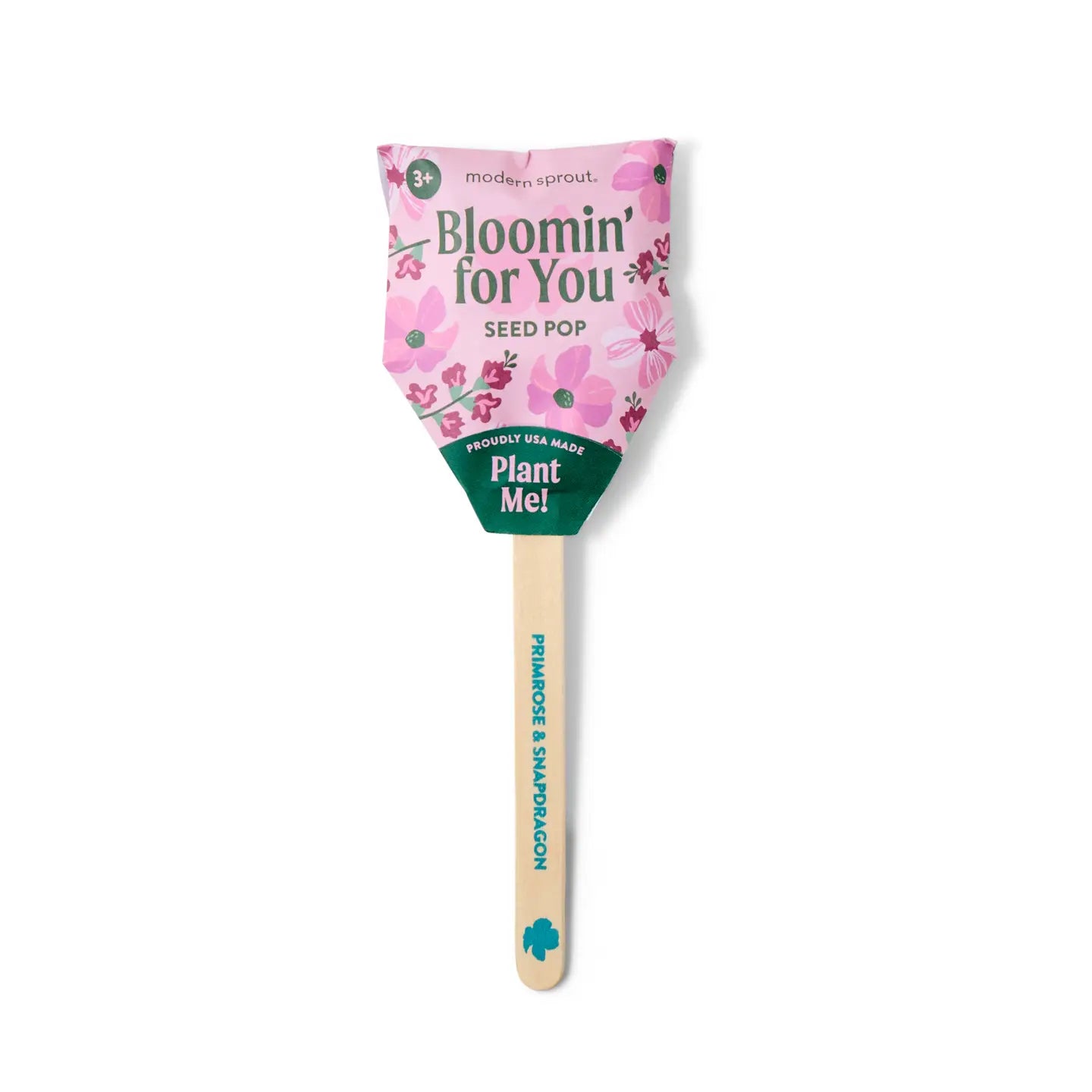 Modern Sprout - Flower Seed Pop (Single) - Bloomin' for You