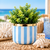 Phantom - Seaside Stripes Faux Greenery Planter