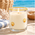 Soi Candles - Scallop Shells Azure Tides Icon 12oz Candle