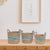 IH Casa Decor - 3Pc Natural Grass Basket with Handle Blue Stripe