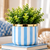 Phantom - Seaside Stripes Faux Greenery Planter
