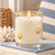 Soi Candles - Scallop Shells Azure Tides Icon 12oz Candle