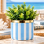 Phantom - Seaside Stripes Faux Greenery Planter