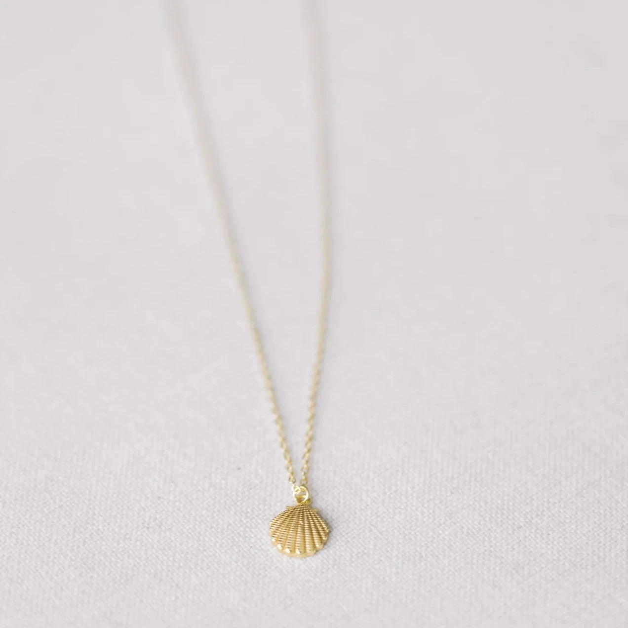Coast + Cove - Gold Scallop Necklace (Add-On)