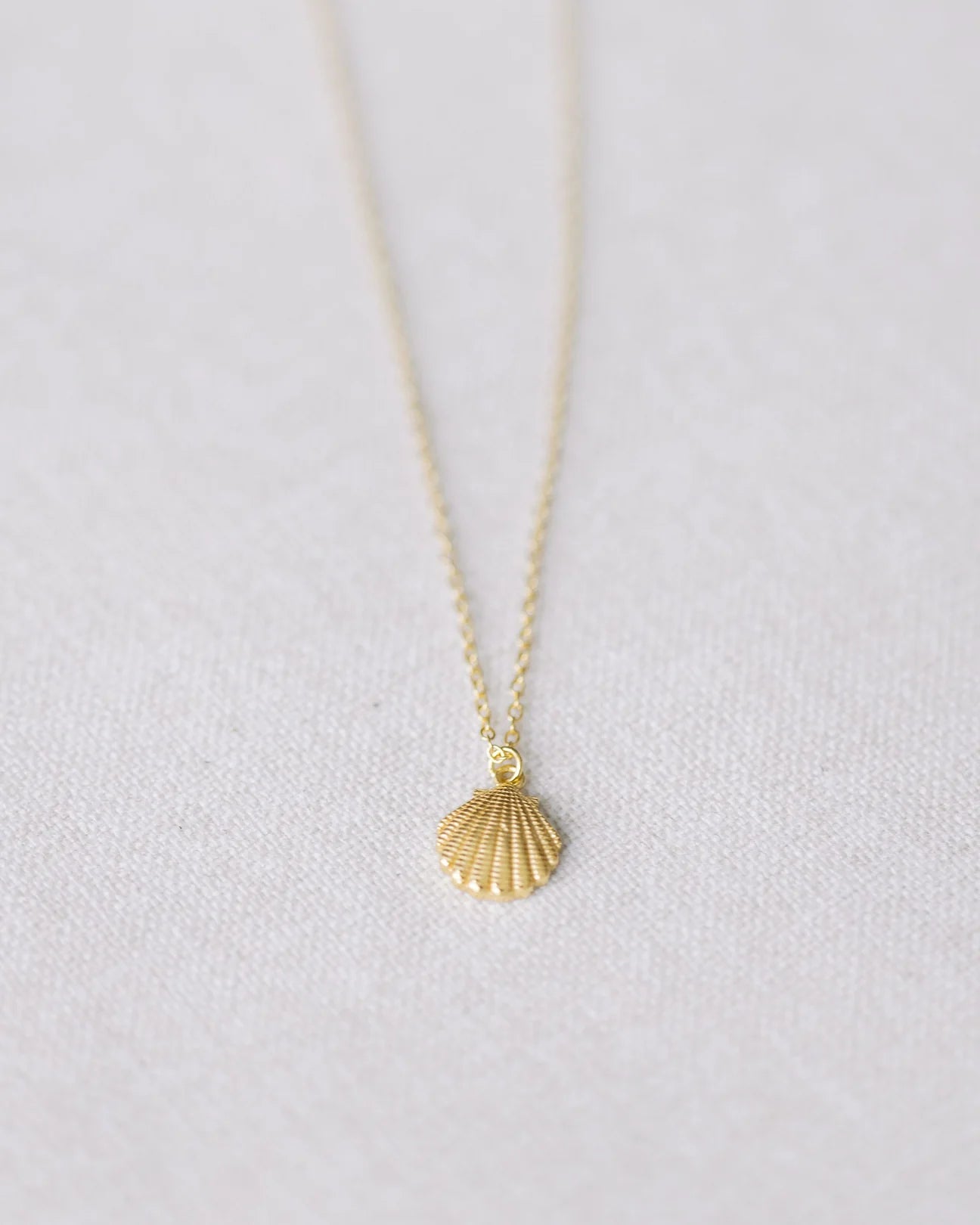Coast + Cove - Gold Scallop Necklace (Add-On)