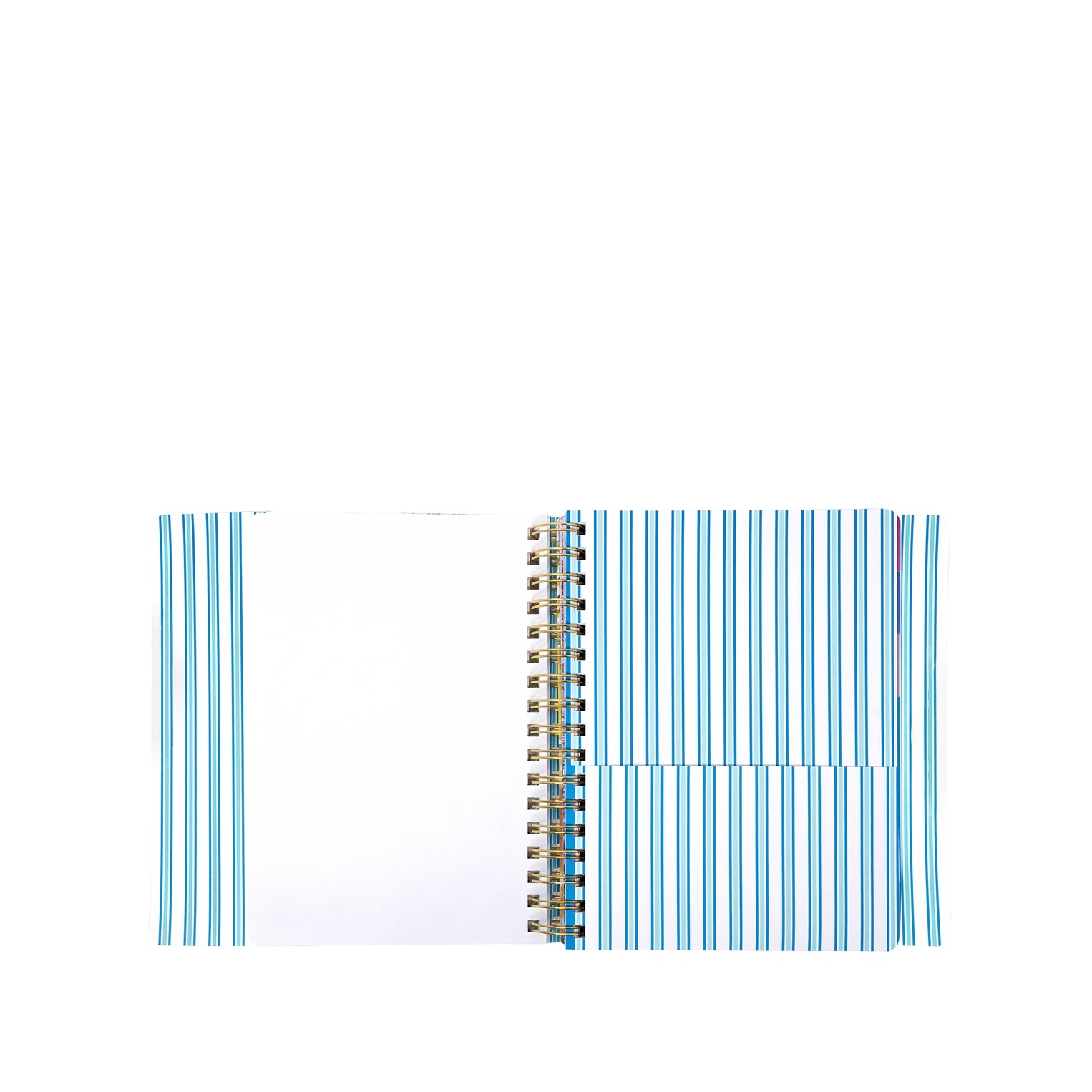 Lilly Pulitzer - 17 Month Soft Cover Agenda, Shell Shine
