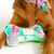 Lilly Pulitzer - Pet Toy, Crazy Quilt Home