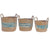 IH Casa Decor - 3Pc Natural Grass Basket with Handle Blue Stripe