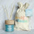 Sunshine + Saltwater - Crisp Beach Walk | Reed Diffuser (Add-On)