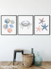 KelseyMDesigns - Set of 3 Coastal Art Prints - 8x10