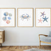 KelseyMDesigns - Set of 3 Coastal Art Prints - 8x10