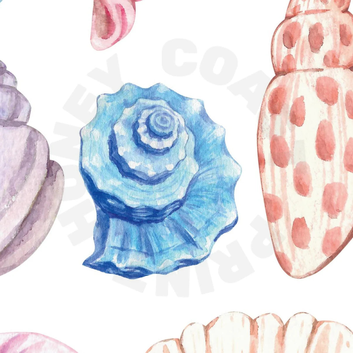 Honey Coast Print Co. - Watercolor Seashells Poster 12" x 18" (Add-On)