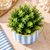 Phantom - Seaside Stripes Faux Greenery Planter