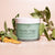 Florida Glow - Pacific Sage Sugar Scrub